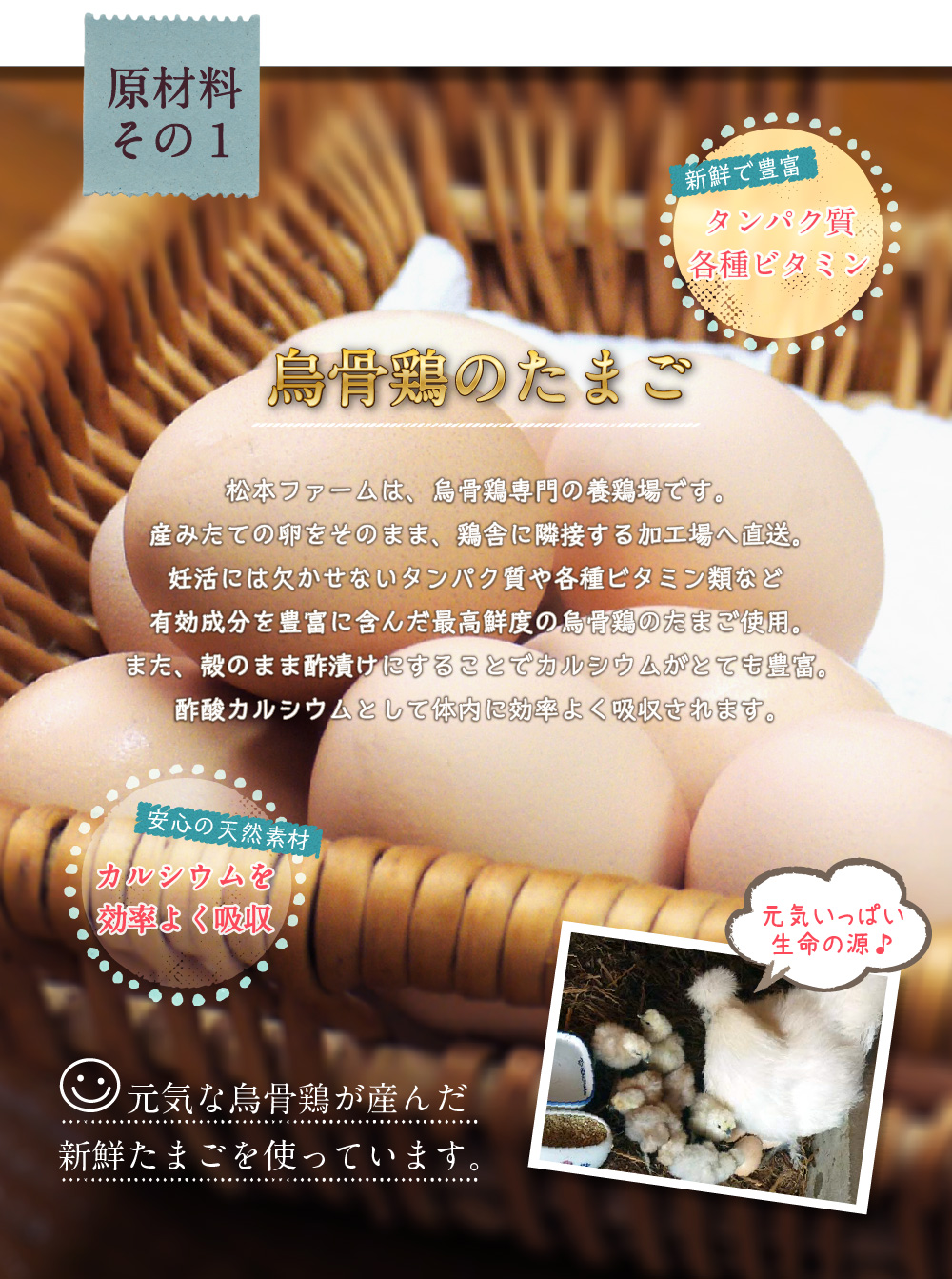 原材料その1 新鮮で豊富 タンパク質 各種ビタミン 烏骨鶏のたまご 松本ファームは、烏骨鶏専門の農場です。産みたての卵をそのまま、鶏舎に隣接する加工場へ直送。妊活には欠かせないタンパク質や各種ビタミン類など有効成分を豊富に含んだ最高鮮度の烏骨鶏のたまご使用。また、殻のまま酢漬けにすることでカルシウムがとても豊富。酢酸カルシウムとして体内に効率よく吸収されます。安心の天然素材 カルシウムを効率よく吸収 元気いっぱい生命の源♪ 元気な烏骨鶏が産んだ新鮮たまごを使っています。