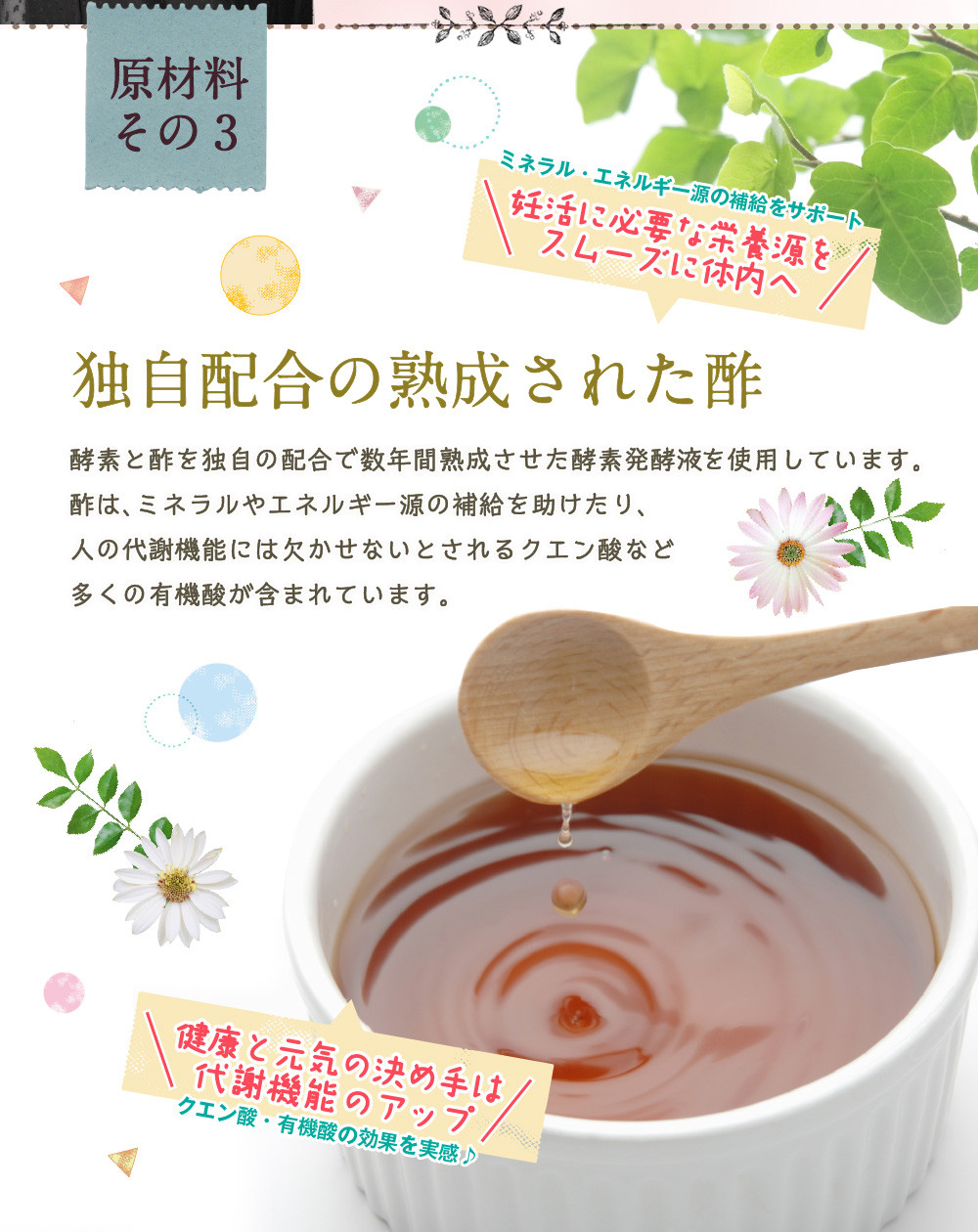 原材料その3 ミネラル・エネルギー源の補給をサポート 妊活に必要な栄養源をスムーズに体内へ 独自配合の熟成された酢 酵素と酢を独自の配合で数年間熟成させた酵素発酵液を使用しています。酢は、ミネラルやエネルギー源の補給を助けたり、人の代謝機能には欠かせないとされるクエン酸など多くの有機酸が含まれています。 健康と元気の決め手は代謝機能のアップ クエン酸・有機酸の効果を実感♪